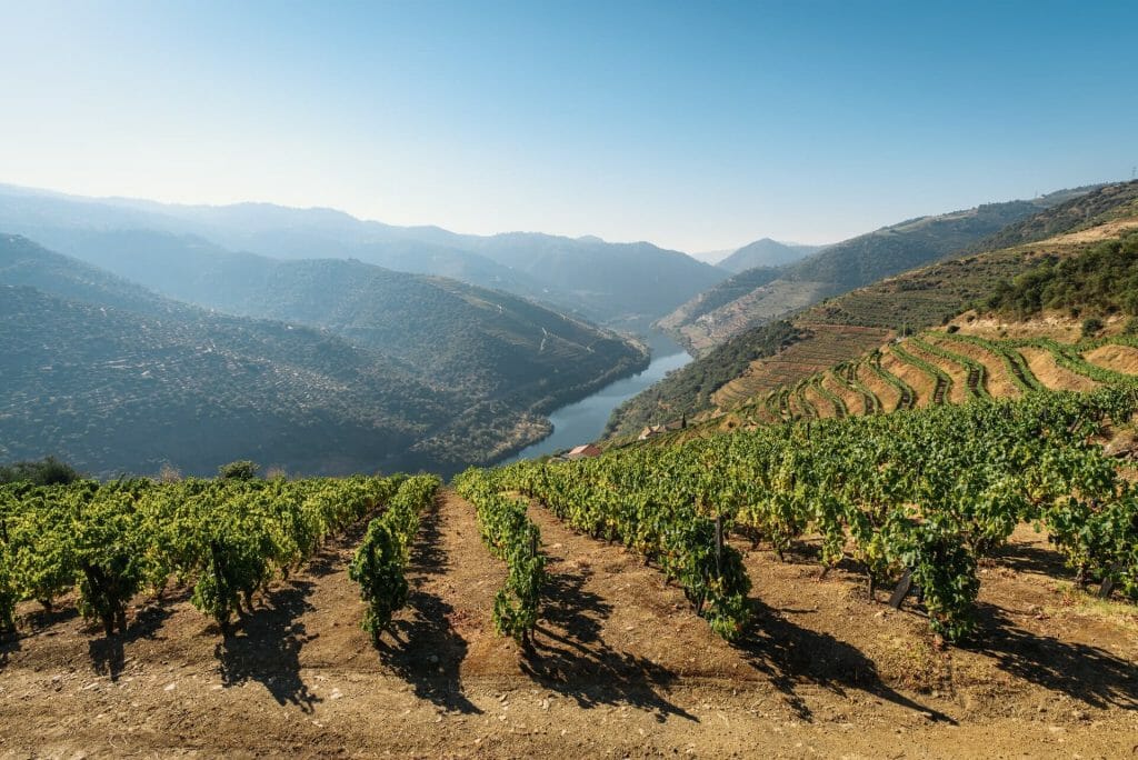 The best Portuguese wines
